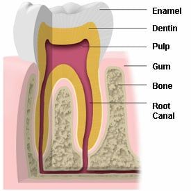 My child's teeth have stains on them, are these cavities?